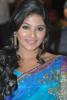 Anjali Saree Photos at SVSC